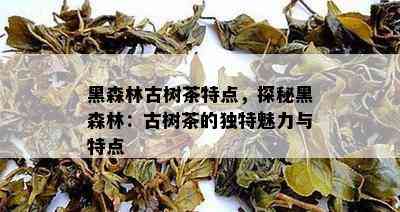 黑森林古树茶特点，探秘黑森林：古树茶的特别魅力与特点