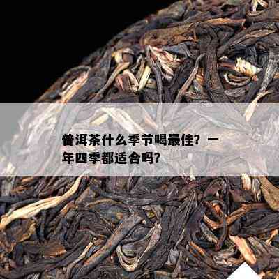 普洱茶什么季节喝更佳？一年四季都适合吗？