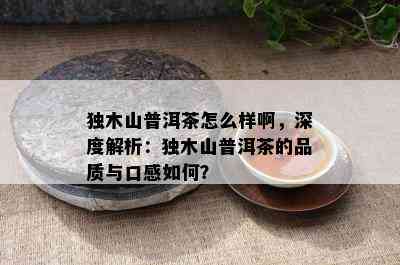 独木山普洱茶怎么样啊，深度解析：独木山普洱茶的品质与口感怎样？