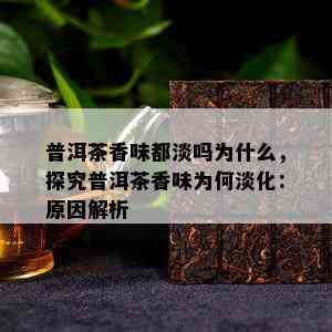 普洱茶香味都淡吗为什么，探究普洱茶香味为何淡化：原因解析