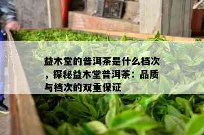 益木堂的普洱茶是什么档次，探秘益木堂普洱茶：品质与档次的双重保证