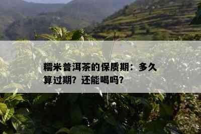 糯米普洱茶的保质期：多久算过期？还能喝吗？