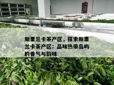 斯里兰卡茶产区，探索斯里兰卡茶产区：品味热带岛屿的香气与韵味