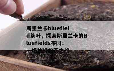 斯里兰卡bluefield茶叶，探索斯里兰卡的Bluefields茶园：一场特别的茶之旅