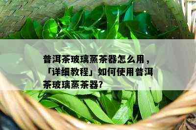 普洱茶玻璃蒸茶器怎么用，「详细教程」怎样采用普洱茶玻璃蒸茶器？