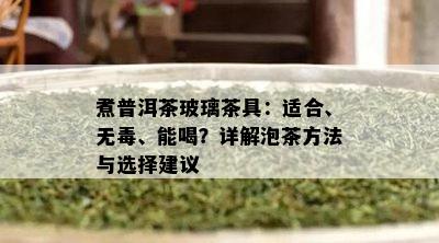 煮普洱茶玻璃茶具：适合、无、能喝？详解泡茶方法与选择建议