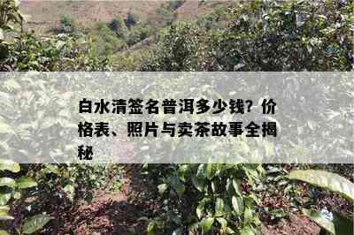 白水清签名普洱多少钱？价格表、照片与卖茶故事全揭秘