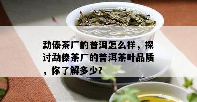 勐傣茶厂的普洱怎么样，探讨勐傣茶厂的普洱茶叶品质，你了解多少？