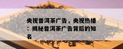 央视普洱茶广告，央视热播：揭秘普洱茶广告背后的知名