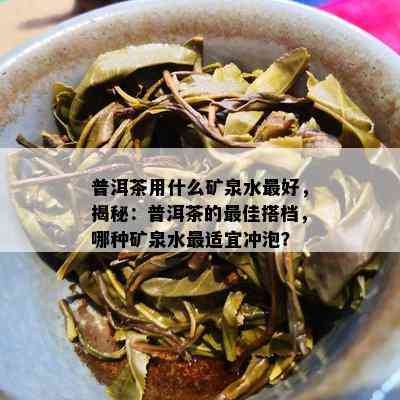 普洱茶用什么矿泉水更好，揭秘：普洱茶的更佳搭档，哪种矿泉水最适宜冲泡？