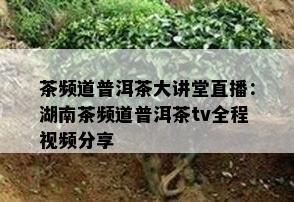 茶频道普洱茶大讲堂直播：湖南茶频道普洱茶tv全程视频分享