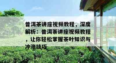 普洱茶讲座视频教程，深度解析：普洱茶讲座视频教程，让你轻松掌握茶叶知识与冲泡技巧