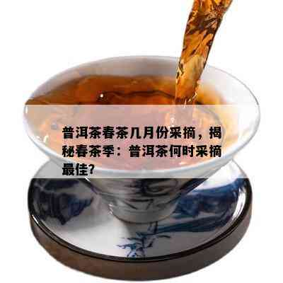 普洱茶春茶几月份采摘，揭秘春茶季：普洱茶何时采摘更佳？