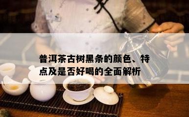 普洱茶古树黑条的颜色、特点及是否好喝的全面解析