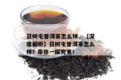 召树屯普洱茶怎么样，【深度解析】召树屯普洱茶怎么样？带你一探究竟！