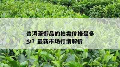 普洱茶御品的拍卖价格是多少？最新市场行情解析