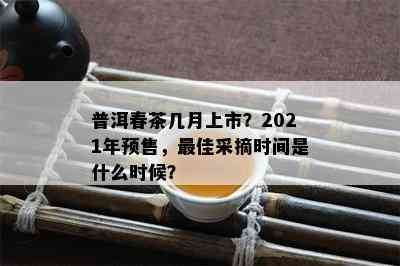 普洱春茶几月上市？2021年预售，更佳采摘时间是什么时候？