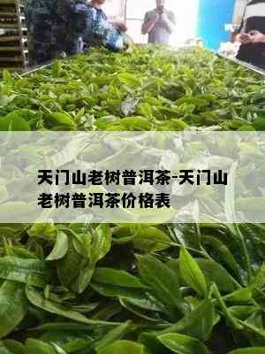 天门山老树普洱茶-天门山老树普洱茶价格表