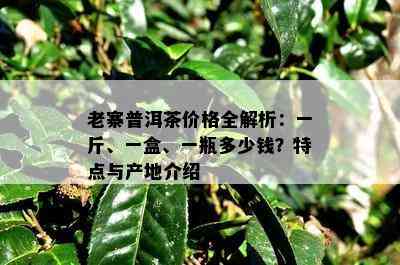 老寨普洱茶价格全解析：一斤、一盒、一瓶多少钱？特点与产地介绍