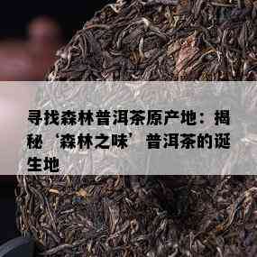 寻找森林普洱茶原产地：揭秘‘森林之味’普洱茶的诞生地