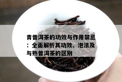 青普洱茶的功效与作用禁忌：全面解析其功效、泡法及与熟普洱茶的区别