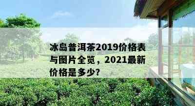 冰岛普洱茶2019价格表与图片全览，2021最新价格是多少？