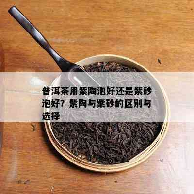 普洱茶用紫陶泡好还是紫砂泡好？紫陶与紫砂的区别与选择