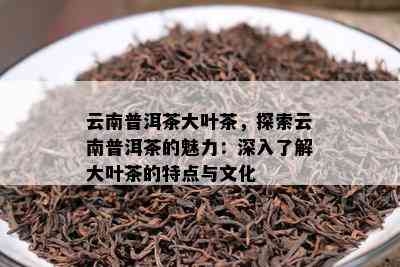 云南普洱茶大叶茶，探索云南普洱茶的魅力：深入熟悉大叶茶的特点与文化