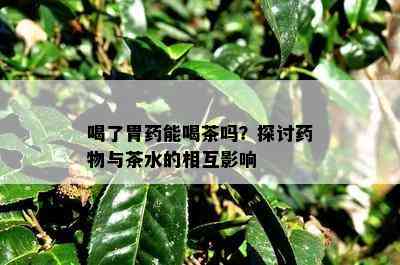 喝了胃能喝茶吗？探讨物与茶水的相互影响