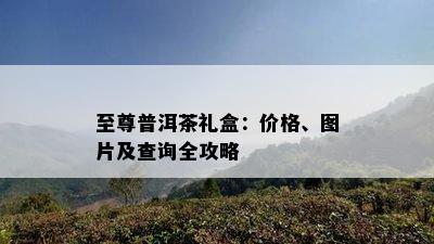 至尊普洱茶礼盒：价格、图片及查询全攻略