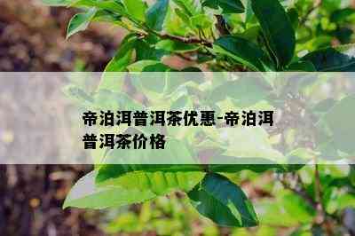 帝泊洱普洱茶优惠-帝泊洱普洱茶价格