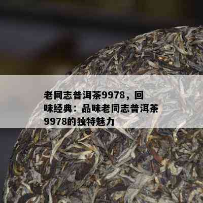 老同志普洱茶9978，回味经典：品味老同志普洱茶9978的独特魅力