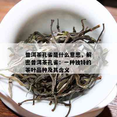 普洱茶孔雀是什么意思，解密普洱茶孔雀：一种独特的茶叶品种及其含义