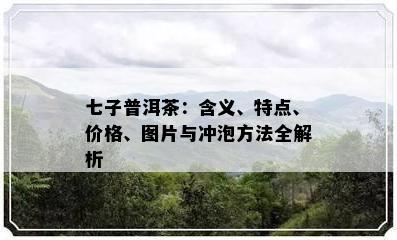 七子普洱茶：含义、特点、价格、图片与冲泡方法全解析