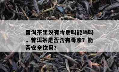 普洱茶里不存在素吗能喝吗，普洱茶是不是含有素？能否安全饮用？