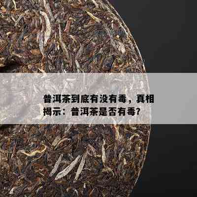 普洱茶到底有不存在，真相揭示：普洱茶是不是有？