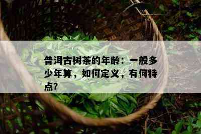 普洱古树茶的年龄：一般多少年算，怎样定义，有何特点？