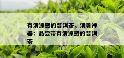 有清凉感的普洱茶，消暑神器：品尝带有清凉感的普洱茶