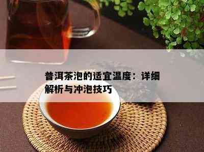 普洱茶泡的适宜温度：详细解析与冲泡技巧