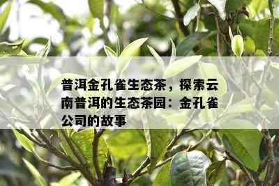 普洱金孔雀生态茶，探索云南普洱的生态茶园：金孔雀公司的故事