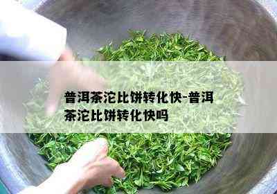 普洱茶沱比饼转化快-普洱茶沱比饼转化快吗