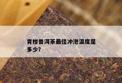 青柑普洱茶更佳冲泡温度是多少？