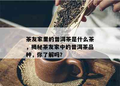 茶友家里的普洱茶是什么茶，揭秘茶友家中的普洱茶品种，你熟悉吗？