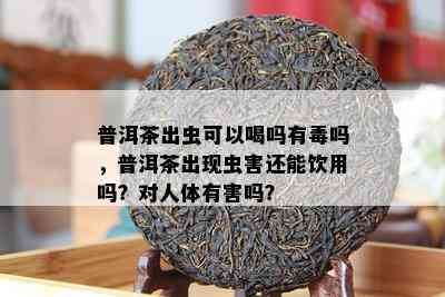 普洱茶出虫可以喝吗有吗，普洱茶出现虫害还能饮用吗？对人体有害吗？