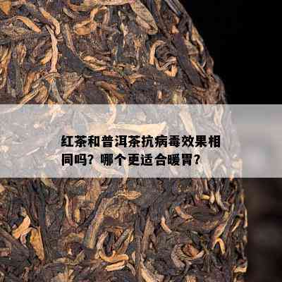 红茶和普洱茶抗病效果相同吗？哪个更适合暖胃？