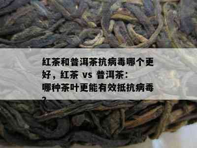 红茶和普洱茶抗病哪个更好，红茶 vs 普洱茶：哪种茶叶更能有效抵抗病？