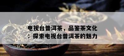 电视台普洱茶，品鉴茶文化：探索电视台普洱茶的魅力