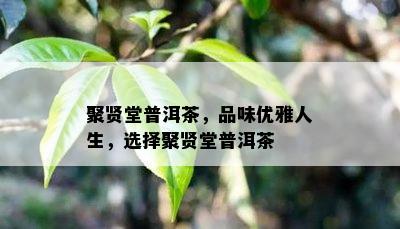 聚贤堂普洱茶，品味优雅人生，选择聚贤堂普洱茶