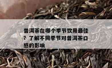 普洱茶在哪个季节饮用更佳？熟悉不同季节对普洱茶口感的作用