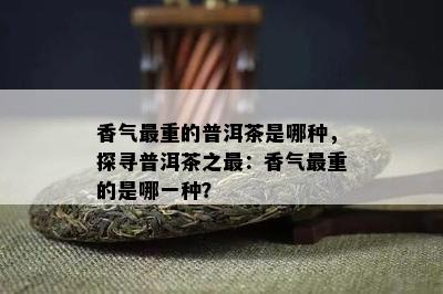 香气最重的普洱茶是哪种，探寻普洱茶之最：香气最重的是哪一种？